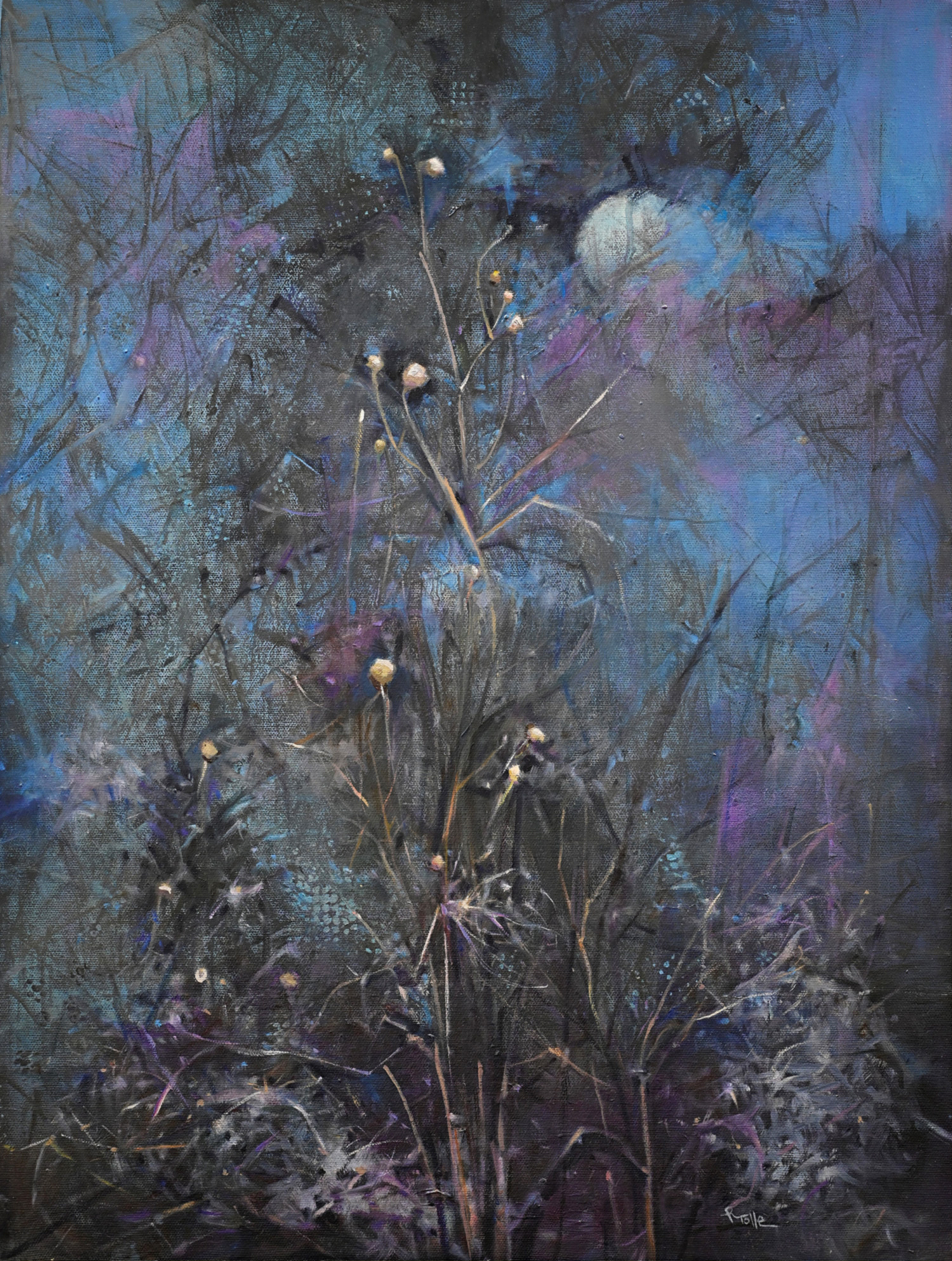 "MOONLIT THISTLE" oil on canvas 18X24