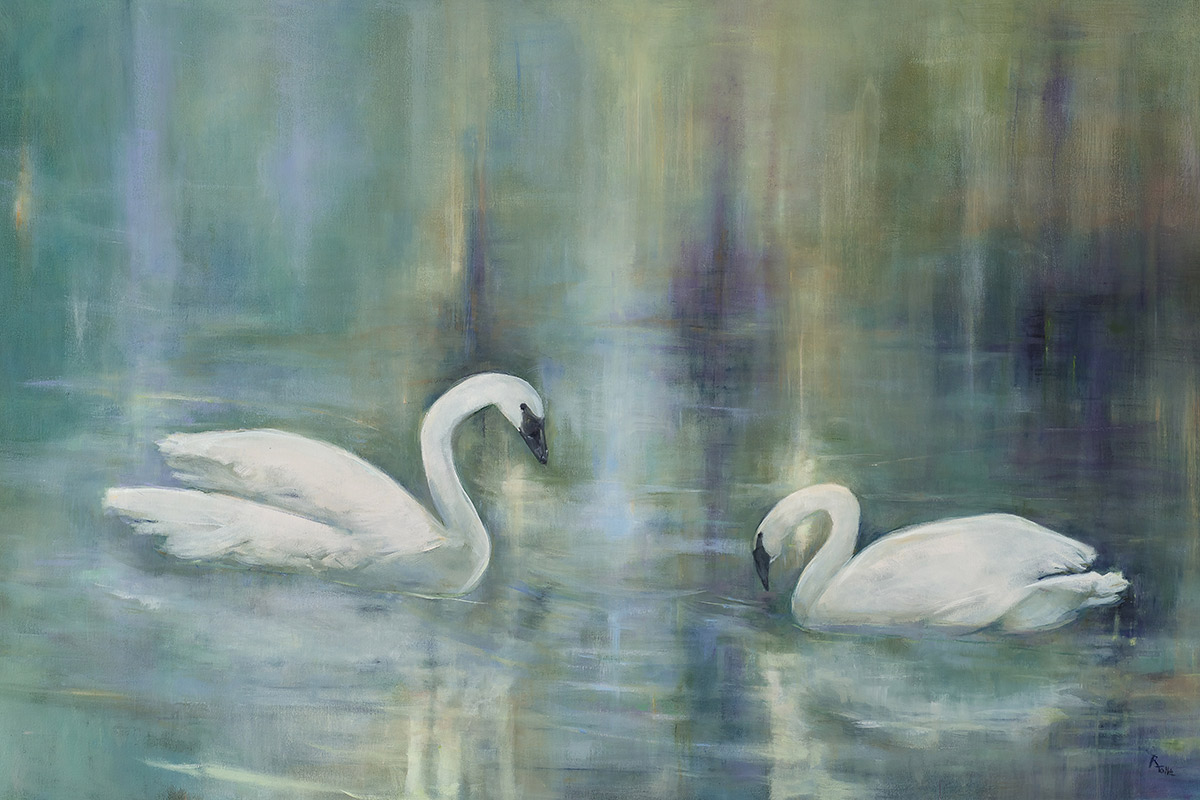 Swans2