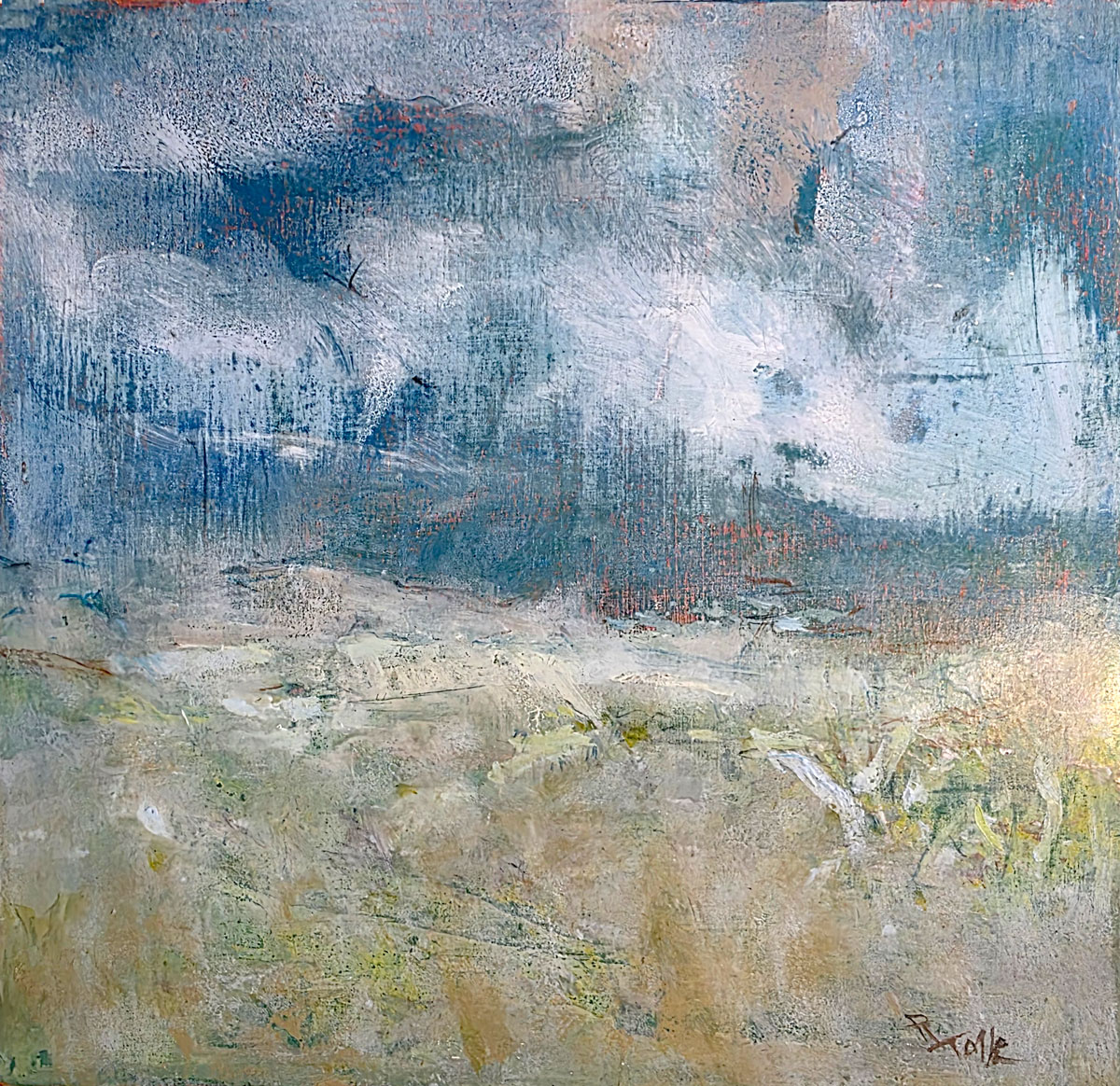 Stormy-Meadow-w